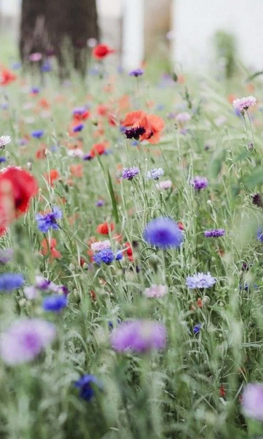 Fastighetsservice och Skyltmontage Fastighetsservice och Skyltmontage Visby