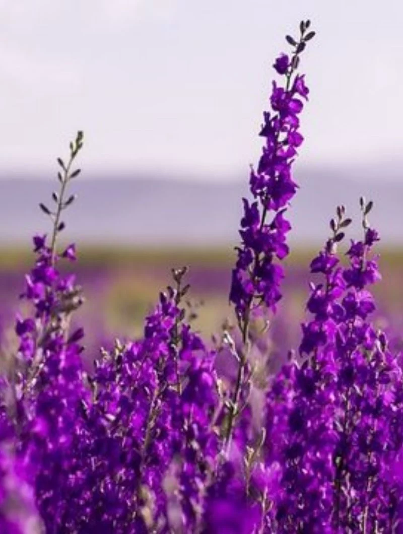 Fastighetsservice och Skyltmontage Fastighetsservice och Skyltmontage Gotland